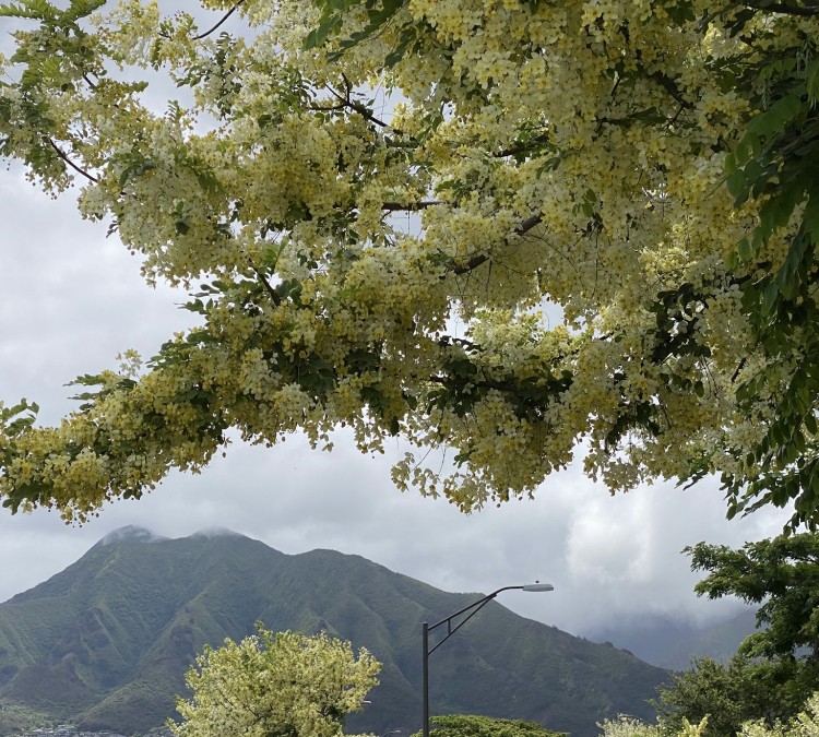 Maui Lani Regional Park (Kahului,&nbspHI)